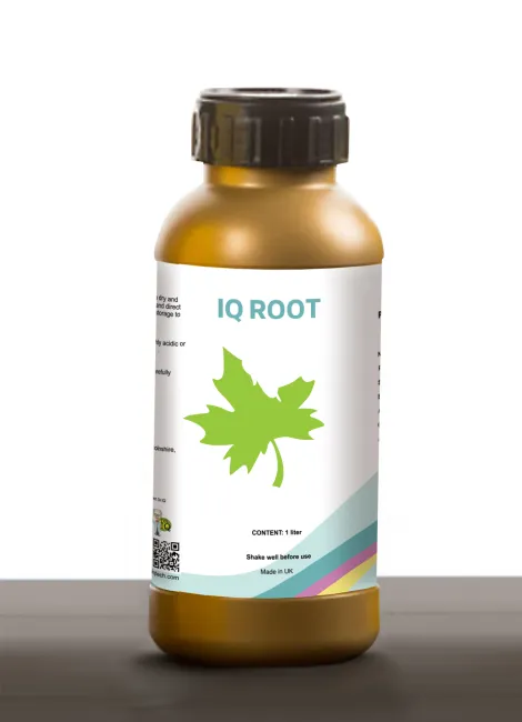 IQ Root